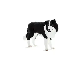 Mojo Animal Planet Border Collie / ab 3 Jahren