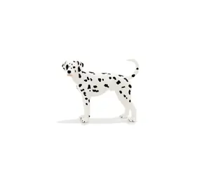 Mojo Animal Planet Dalmatiner / ab 3 Jahren