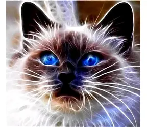 Norimpex Diamantmosaik - Magische Katze