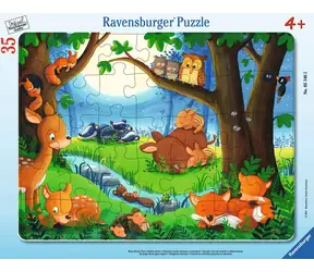 Ravensburger Gute Nacht / 35 Stück / ab 4 Jahren 