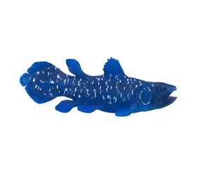 Mojo Animal Planet Quastenflosser / ab 3 Jahren