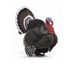 Collecta Türkei / ab 3 Jahren