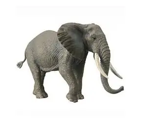 Collecta Afrikanischer Elefant / ab 3 Jahren