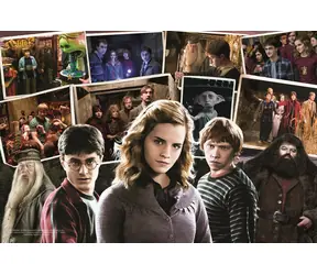 Trefl - Puzzle - Harry Potter mit Freunden / 160 Teile / 41 x 27,5 cm / Alter 6+