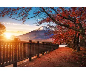 Trefl - Puzzle - Premium PLUS Foto Odyssee: Berg Fuji. Japan / 1000 Teile / 68,3 x 48 cm / ab 12 Jahren