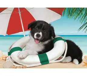 Clementoni PUZZLE Sunny Beach / 104 Teile / ab 6 Jahren