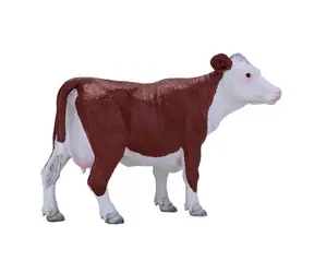 Mojo Hereford Kuh / ab 3 Jahren