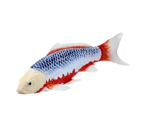 Mojo Carp Koi Asagi / ab 3 Jahren