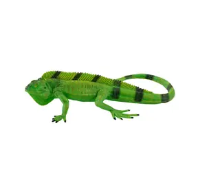 Mojo Iguana / ab 3 Jahren