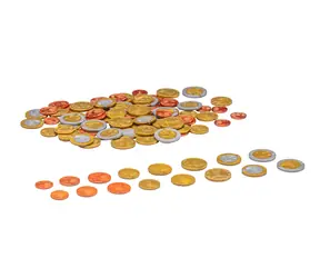Wissner Spielmünzen Euro 80 Stück