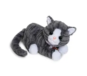 Zapf Creation BABY born Cookie Cat mit Transportbox / ab 3 Jahren
