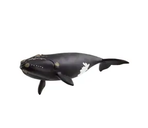 Schleich Tier - Nordatlantischer Glattwal / ab 3 Jahren