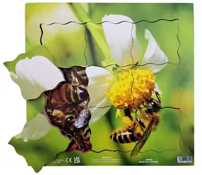 Just Jigsaws 600 Biene und ihr Lebenszyklus - Holzpuzzle mit mehreren Schichten / 19 Teile / ab 3 Jahren