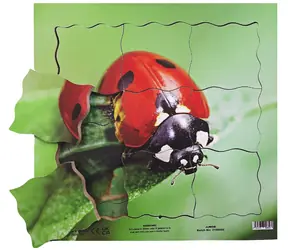 Just Jigsaws 602 Marienkäfer und sein Lebenszyklus - Holzpuzzle mit mehreren Schichten / 19 Teile / ab 3 Jahren
