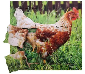 Just Jigsaws 640 Henne und ihr Lebenszyklus - Holzpuzzle mit mehreren Schichten / 19 Teile / ab 3 Jahren