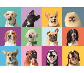 Clementoni 21739 Puzzle Fröhliche Gesichter, 300 Teile / ab 9 Jahren
