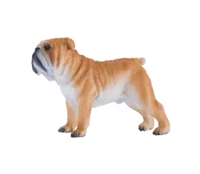 Mojo, Englische Bulldogge / ab 3 Jahren