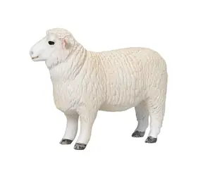 Mojo Aries Romney Marsh / ab 3 Jahren