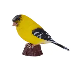 Mojo Yellow Čížek / ab 3 Jahren