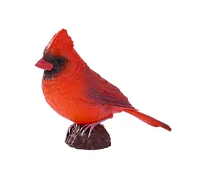 Mojo Cardinal rot / ab 3 Jahren