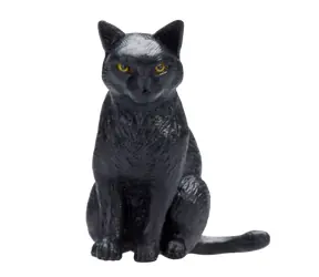 Mojo Black Cat sitting / ab 3 Jahren