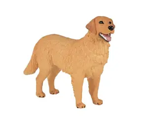 Mojo Golden Retriever / ab 3 Jahren