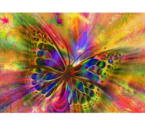 BlueBird Puzzle Bunter Schmetterling / 1000 Teile / ab 14 Jahren
