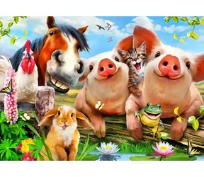 BlueBird Puzzle Niedliche Haustiere / 500 Teile / ab 9 Jahren