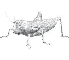Metal Earth 3D-Puzzle Grasshopper / 35 Teile / ab 14 Jahren