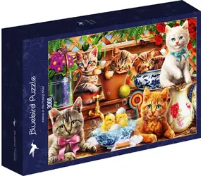 BlueBird Puzzle Kätzchen im Schuppen / 3000 Teile / ab 14 Jahren
