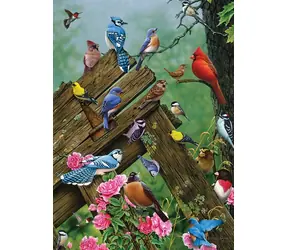 COBBLE HILL Puzzle Waldvögel / 1000 Teile / ab 14 Jahren