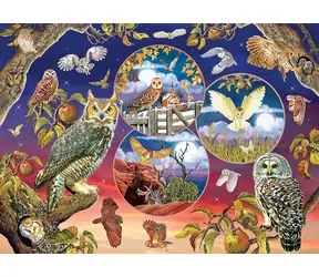 COBBLE HILL Puzzle Eulenzauber / 1000 Teile / ab 14 Jahren