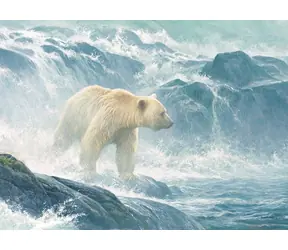 COBBLE HILL Puzzle „Auf der Jagd nach Lachsen“ - Eisbär / 500 Teile / ab 12 Jahren
