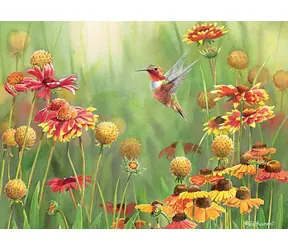 COBBLE HILL Puzzle Kolibris / 500 Teile / ab 12 Jahren