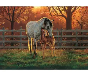 COBBLE HILL Puzzle Stille / 500 Teile / ab 12 Jahren