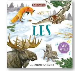 Svojtka & Co. Wild World Forest / ab 3 Jahren