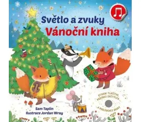 Svojtka & Co. Licht- und Klangweihnachtsbuch / ab 1 Jahr