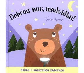 Svojtka & Co. Gute Nacht, Teddybär! Buch mit magischer Taschenlampe / ab 3 Jahren