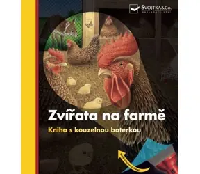Svojtka & Co. Tiere auf dem Bauernhof - Ein Buch mit magischer Taschenlampe / ab 3 Jahren