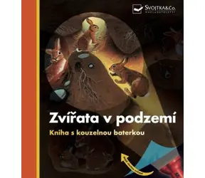 Svojtka & Co. Tiere in der Unterwelt - Ein Buch mit magischer Taschenlampe / ab 3 Jahren