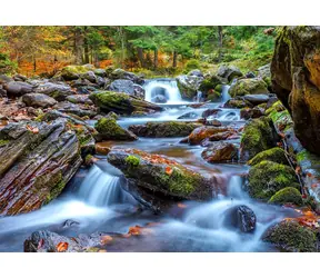 ENJOY Puzzle Waldfluss im Herbst / 1000 Teile / ab 14 Jahren