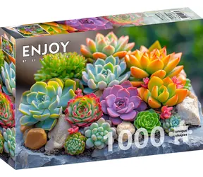 ENJOY Puzzle Sukkulenten / 1000 Teile / ab 14 Jahren