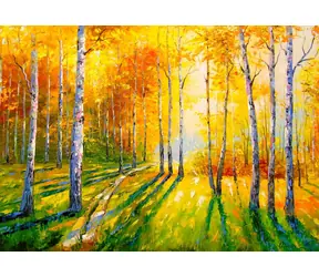 ENJOY Puzzle Birch Grove / 1000 Teile / ab 14 Jahren