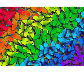 ENJOY Puzzle Regenbogen-Schmetterlinge / 1000 Teile / ab 14 Jahren