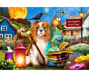 ENJOY Puzzle School of Magic / 1000 Teile / ab 14 Jahren