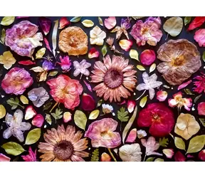 ENJOY Puzzle Pink / 1000 Teile / ab 14 Jahren
