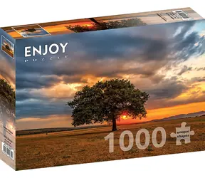 ENJOY Puzzle Twilight / 1000 Teile / ab 14 Jahren