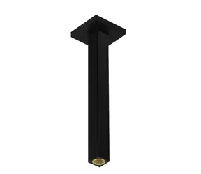 Hansgrohe Zubehör - Deckenbrausearm | 31 cm | matt schwarz 
