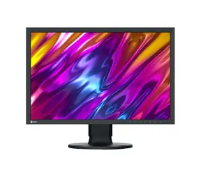 24" Eizo CS2400S schwarz / LED / 1920 x 1200 / IPS / 16:10 / 19ms / 1350:1 / 410cd-m2 / HDMI / DP / USB-C