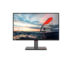 24,5" Lenovo ThinkVision P25i-30 schwarz / IPS / 1920x1080 / 4ms / 250cd-m2 / 1300:1 / HDMI+DP+VGA / Pivot / VESA